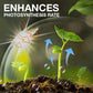 Plant Growth Enhancer Supplement（50% OFF）